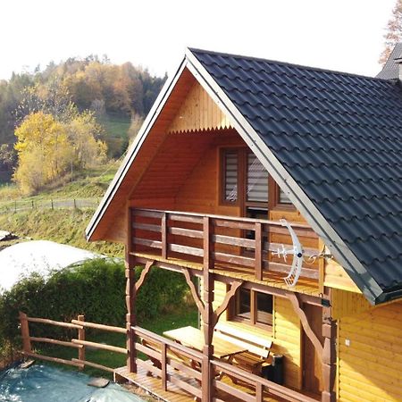 Domek Dzikusowka 1 Bieszczady Solina Polanczyk Zawoz Cisna Gorzanka 外观 照片